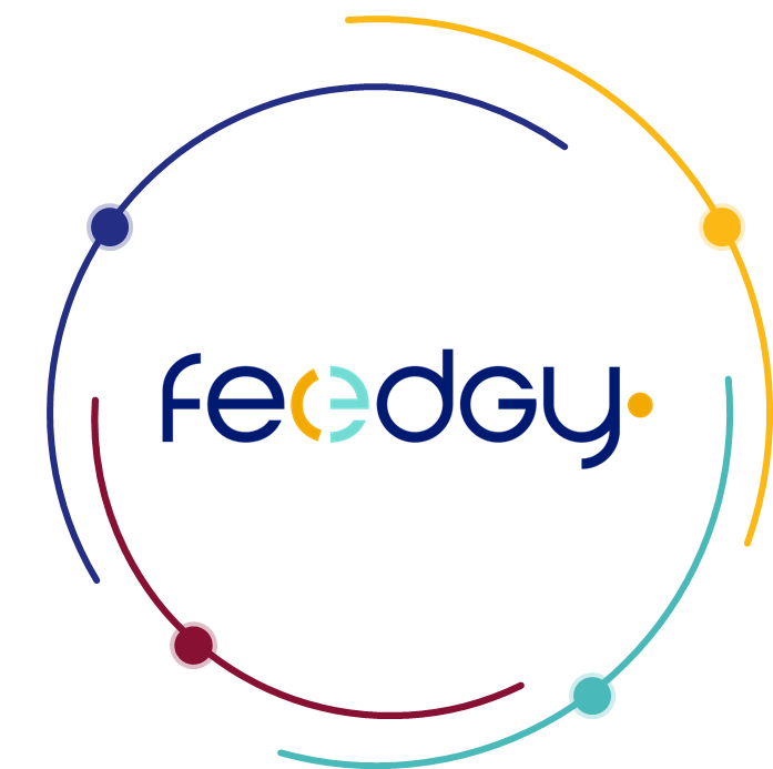 Diagramme Feedgy Sens et Vision
