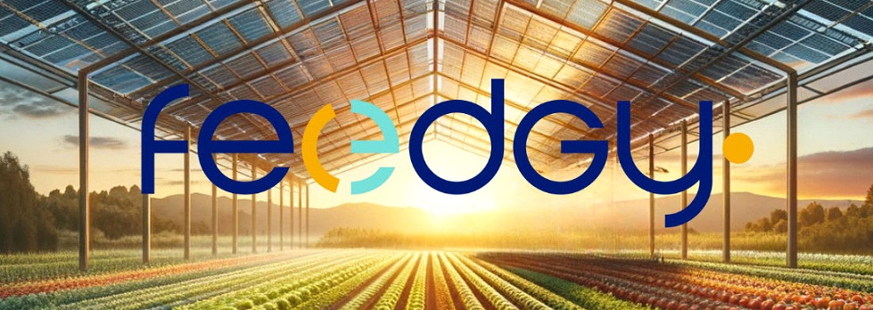 Premier panneau agrivoltaïque au monde, breveté et commercialisé par Feedgy